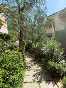 A garden outside ULIVI Beth's House