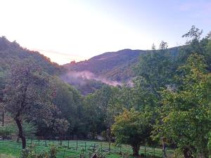a view of a valley with trees and a mountain at Le Temps Suspendu in Saint-Pierreville