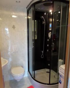 a bathroom with a toilet and a glass shower at Ferienwohnung im Lehnhäusl in Berchtesgaden