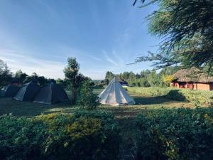 a group of tents parked in a field at The Great Circle Lodge in Nanyuki