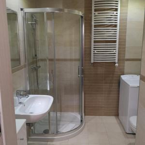 a bathroom with a shower and a sink at Pegaz Apartament in Świnoujście