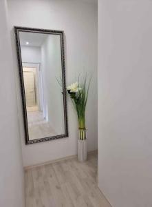 Fotografia z galérie ubytovania Apartment Lopar 4 v destinácii Lopar