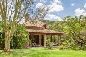 a house with a green yard with a tree at Lejwe La Metsi Private Reserve in Bela-Bela