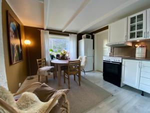 Η κουζίνα ή μικρή κουζίνα στο Orcas Bay Lofoten +24 φωτογραφίες