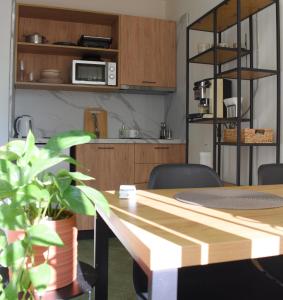 Η κουζίνα ή μικρή κουζίνα στο Feels Like Home Studio Apartments - FLH Albania