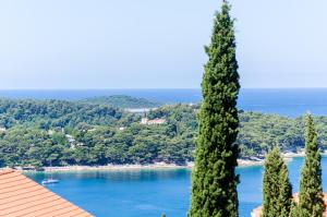 Gallery image of Apartment Gac in Cavtat