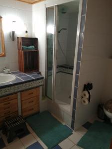 uma casa de banho com um chuveiro e um lavatório. em Apartment Nazbauerhof em Rohr im Gebirge
