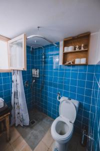 y baño de azulejos azules con aseo y ducha. en Hillel 48 Charming Apartment en Haifa