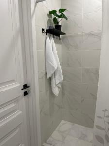 łazienka z prysznicem z rośliną na półce w obiekcie apartments of Gregoryan w mieście Tbilisi City