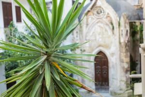 a palm tree in front of a church at Eutuxia in Taranto