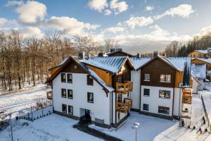 Apartament U Nas w Sudetach v zime