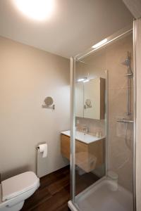 uma casa de banho com um chuveiro, um WC e um lavatório. em Enjoytoday vakantiewoning 45 em Oudenaarde
