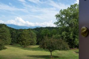 a tree in a field with mountains in the background at Luray Caverns Motels in Luray
