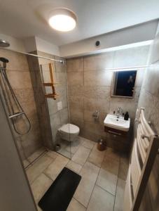 La salle de bains est pourvue d'une douche, de toilettes et d'un lavabo. dans l'établissement Gîte Le Tico, à Cheverny