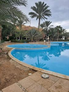 Bazén v ubytovaní شالية مجهز بالكامل موسي كوست Fully Equipped Chalet Mosa Coast alebo v jeho blízkosti