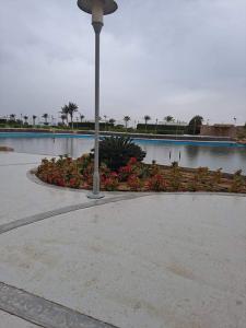 Bazén v ubytovaní شالية مجهز بالكامل موسي كوست Fully Equipped Chalet Mosa Coast alebo v jeho blízkosti