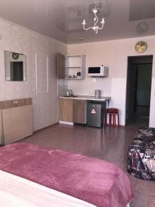 Il comprend un salon avec une cuisine et un lit. dans l'établissement Apartments Zvezda-Vokzal-Centre, à Krasnodar