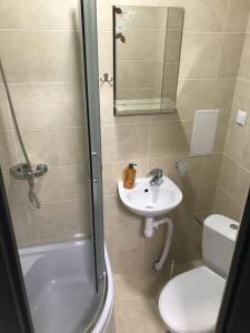 a bathroom with a toilet and a sink and a shower at Apartment room-біля вокзалу-недалеко від центру in Lviv