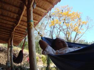 Gallery image of Ecolodge Blue Morpho in Cárdenas