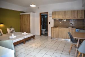 Kuchyň nebo kuchyňský kout v ubytování Iraklis Apartments