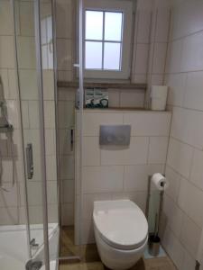 La salle de bains est pourvue de toilettes, d'une fenêtre et d'une douche. dans l'établissement Studio Edeltraud zentral, à Wernigerode