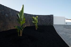 Fotografie z fotogalerie ubytování Villas Altos de Lanzarote v destinaci Playa Blanca