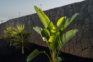 Fotografie z fotogalerie ubytování Villas Altos de Lanzarote v destinaci Playa Blanca