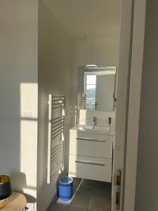 un bagno bianco con lavandino e specchio di Lamballe plein centre, superbe appartement 1er étage a Lamballe Altre 9 foto