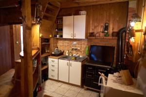 Kuhinja oz. manjša kuhinja v nastanitvi Vila Dragoslava