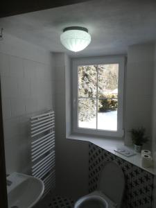 a bathroom with a sink and a toilet and a window at Lipanka in Lipova Lazne