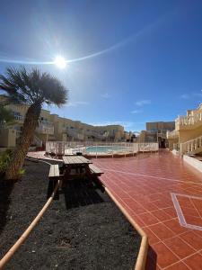 a picnic table and a palm tree on a patio at Caleta Sunset in Caleta De Fuste