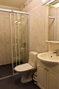 a bathroom with a toilet and a shower and a sink at Lappland Pro Natur in Åsele