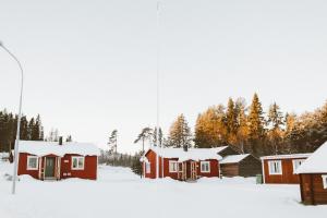 a group of houses with snow on the ground at Lappland Pro Natur in Åsele +10 photos