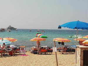 Táj Show holiday homes közelében