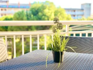 A balcony or terrace at Apartamentos Zaragoza