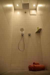 een badkamer met een douche met een douchekop bij Apartment Sabrina in Kitzbühel