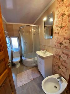 a bathroom with a shower and a sink and a toilet at Faina House in Yaremche