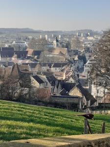 ノジャン・ル・ロトルーにあるcentre ville, chambre indépendante 20m2 et sa salle de bain privéeのベンチ付きの公園から市街の景色を望めます。