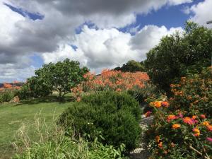 Zdjęcie z galerii obiektu Encanto Rural con Jardín privado y Chimenea w mieście Facinas