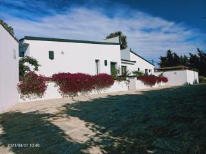 Una fila de edificios blancos con flores. en Casa La Palmera - Sólo Familias y Parejas, en Conil de la Frontera