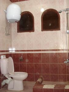 a bathroom with a toilet and a shower with two windows at Western Desert Hotel & Safari in Bawiti