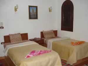 Gallery image of Western Desert Hotel & Safari in Bawati