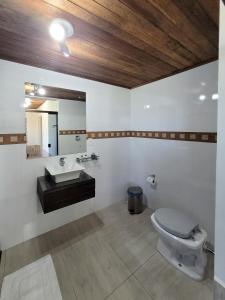 a bathroom with a toilet and a sink at Vinícola & Pousada Terragnolo in Bento Gonçalves
