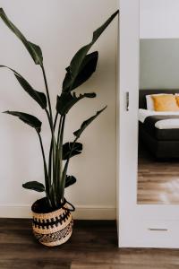 a plant in a basket in a bedroom at Hotel Brasserie Brakzand in Schiermonnikoog