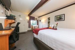 Gallery image of Lakeview Motel in Haliburton