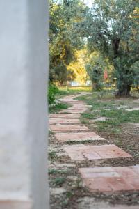 Vonkajšia záhrada v ubytovaní Casa de campo mediterránea en Alicante