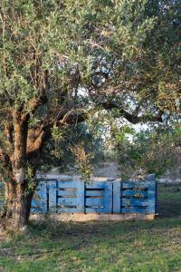 Vonkajšia záhrada v ubytovaní Casa de campo mediterránea en Alicante