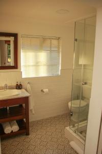 a bathroom with a shower and a toilet and a sink at Idavold Gate House in Howick