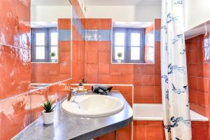 uma casa de banho com um lavatório e um espelho em Cocon Carcassonnais - Parking Gratuit - WIFI - Netflix - Proche Cité - Tout Equipée em Carcassonne