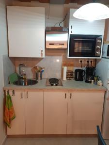 eine kleine Küche mit einer Spüle und einer Mikrowelle in der Unterkunft Kis Ház Apartman in Zalacsány